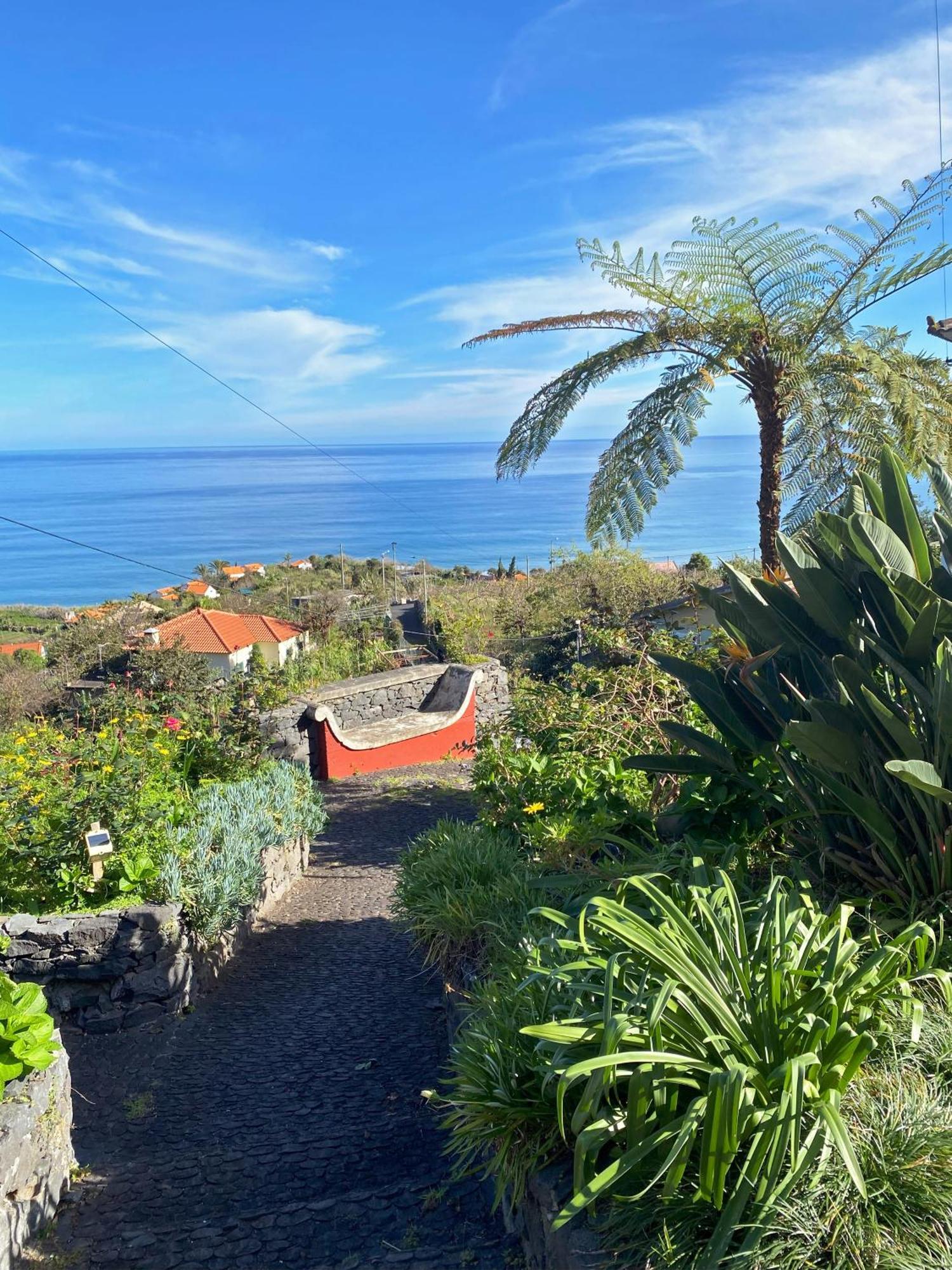 Quinta Das Hortensias Arco de São Jorge Eksteriør billede